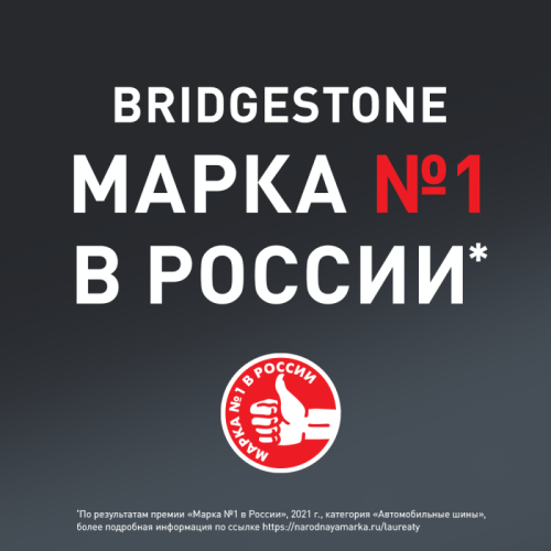 Автошина R18 235/55 Bridgestone Blizzak DM-V2 100T